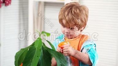 男孩在锅里<strong>喷花</strong>。 春观念，自然与关怀.. 可爱的孩子照顾植物。 种<strong>花</strong>。 成长